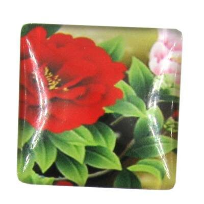 cabochen 25mm glass square 25mm - k1292-50