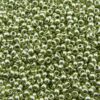 seed beads N10 Green metallic (25g) Czech - j1566