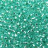 seed beads N10 Aquatin silver lined (25g) Czech - j1632