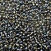 seed beads N10 Black Diamond silver lined Rainbow (25g) Czech - j1733