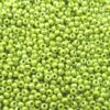 seed beads N10 Green Sfinx (25g) Czech - j1722