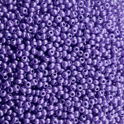seed beads N10 Violet Metallic (25g) Czech - j1765