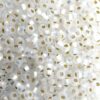 seed beads N6 Crystal AB silver lined matt (25g) Czech - j1777