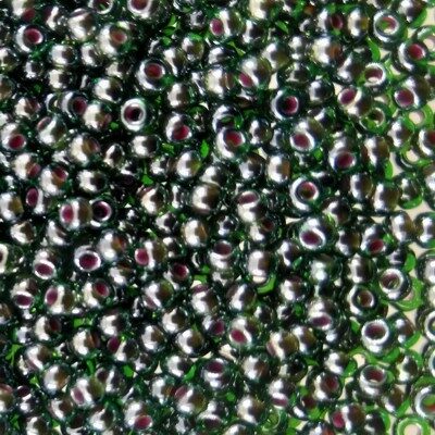 seed beads N10 Green Red lined Sfinx (25g) Czech - j1862