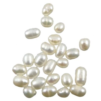 freshwater pearl oval 5-6mm (24pcs) - k1595