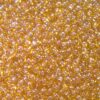 seed beads N10 Topaz sfinx (25g) Czech - j1923