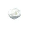 rose white 10mm - roz1