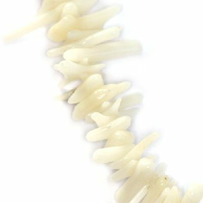 small chips white coral (25g) - f5909