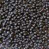 seed beads N10 Grey jet terra pearl (25g) Czech - j1284