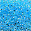 seed beads N10 Light Aquamarine silver lined (25g) Czech - j1479